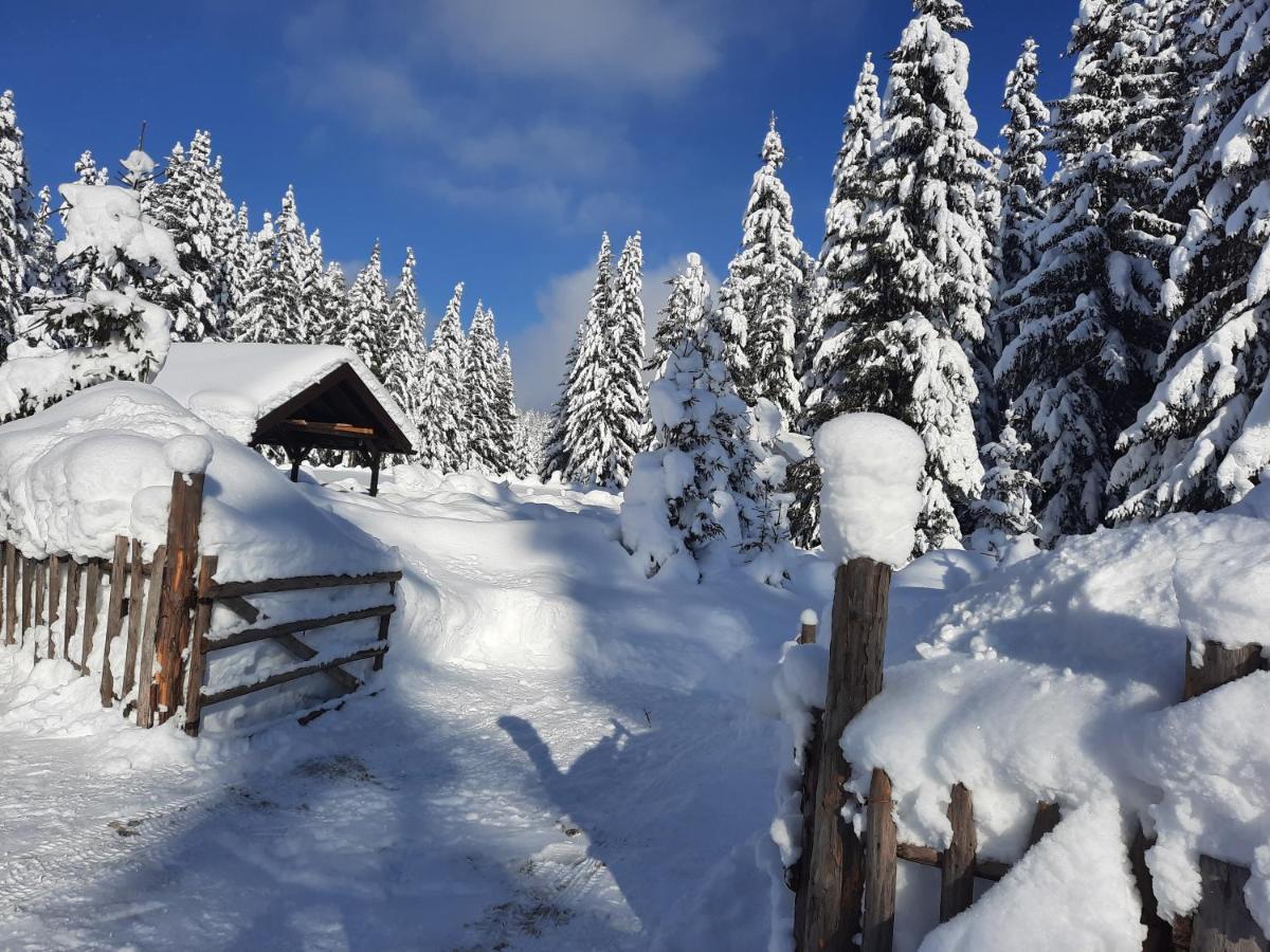 Vila Jelena Jahorina Exteriér fotografie