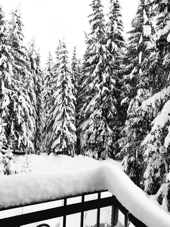Vila Jelena Jahorina Exteriér fotografie