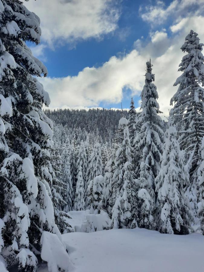 Vila Jelena Jahorina Exteriér fotografie