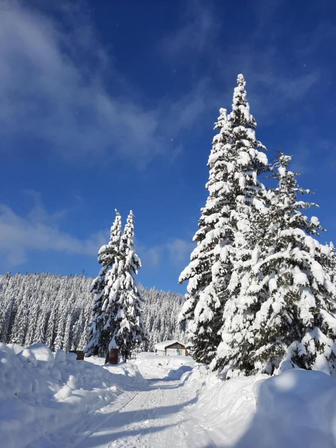 Vila Jelena Jahorina Exteriér fotografie