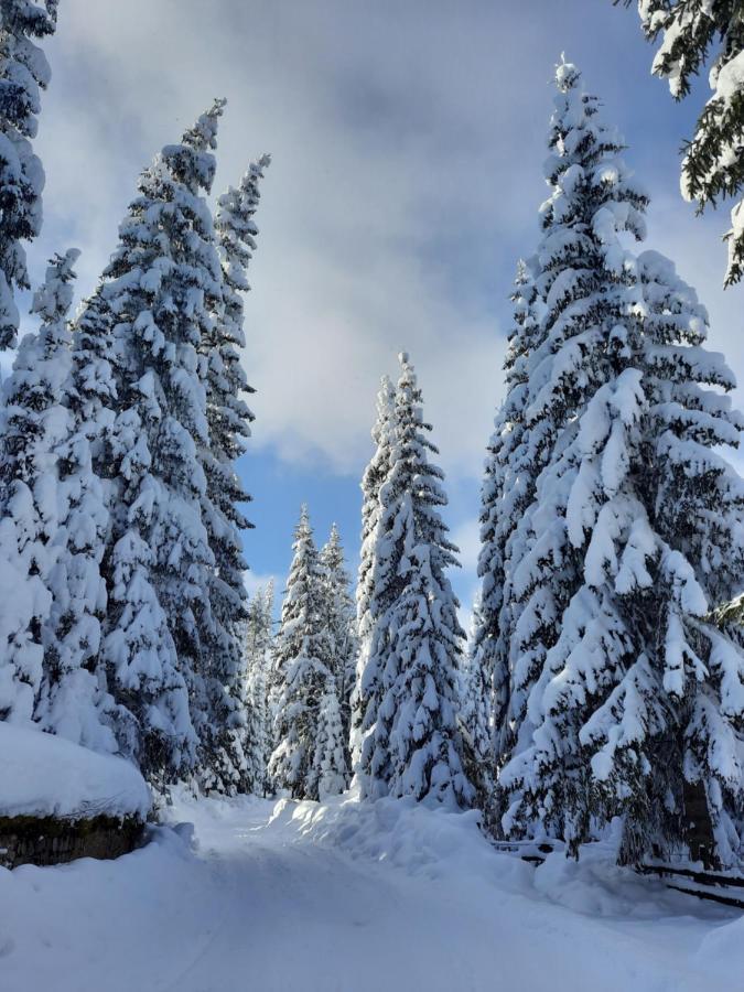 Vila Jelena Jahorina Exteriér fotografie
