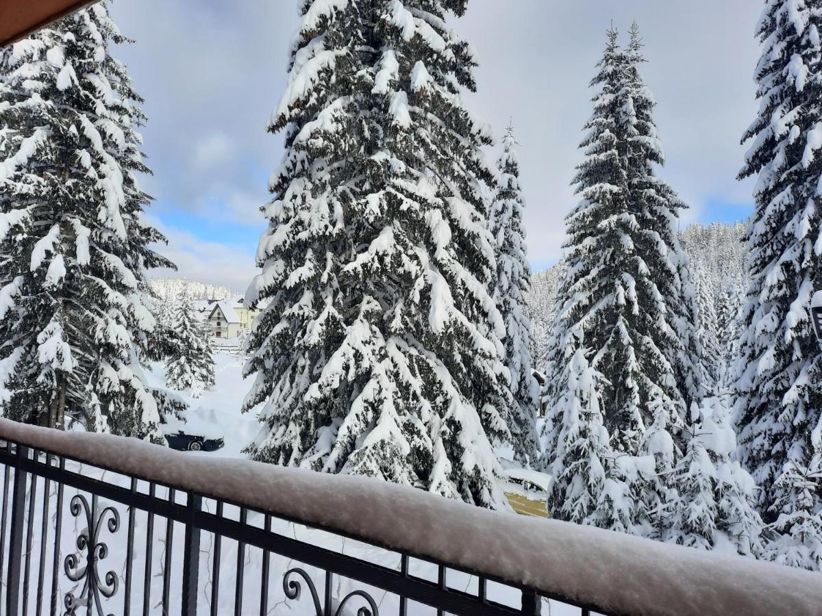 Vila Jelena Jahorina Exteriér fotografie