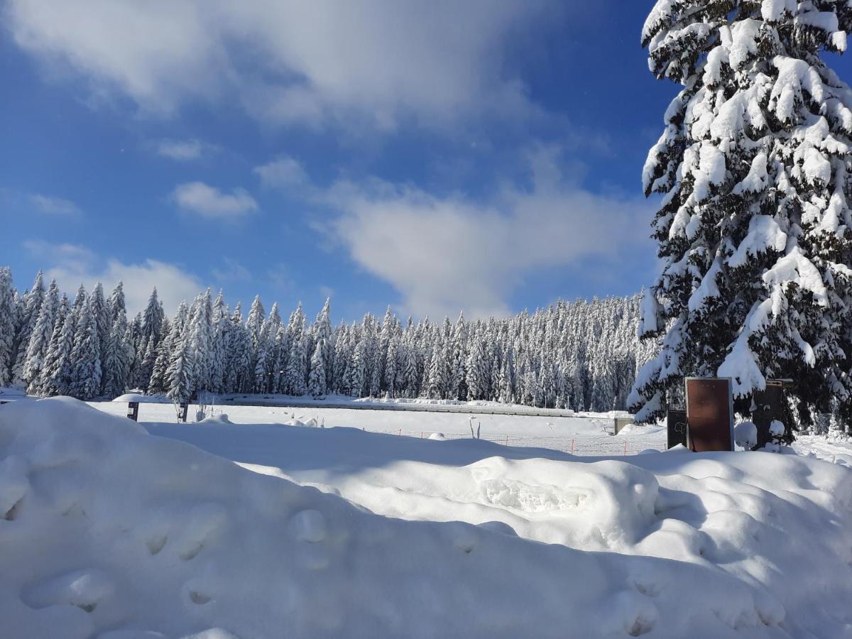 Vila Jelena Jahorina Exteriér fotografie