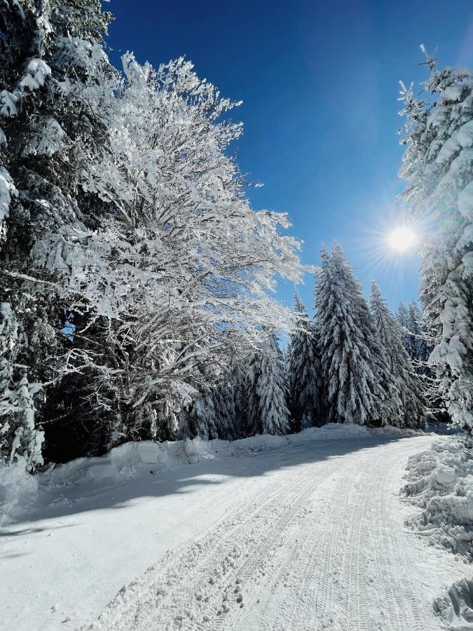 Vila Jelena Jahorina Exteriér fotografie